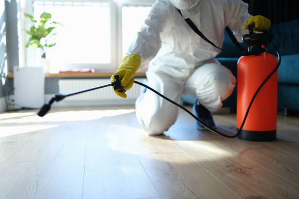 Reliable Odor Removal contractor in Adrian, MI by Trauma Clean Pros